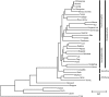 F<sc>IG</sc>. 2.