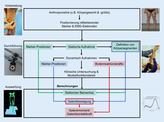 graphic file with name 132_2021_4121_Fig1_HTML.jpg