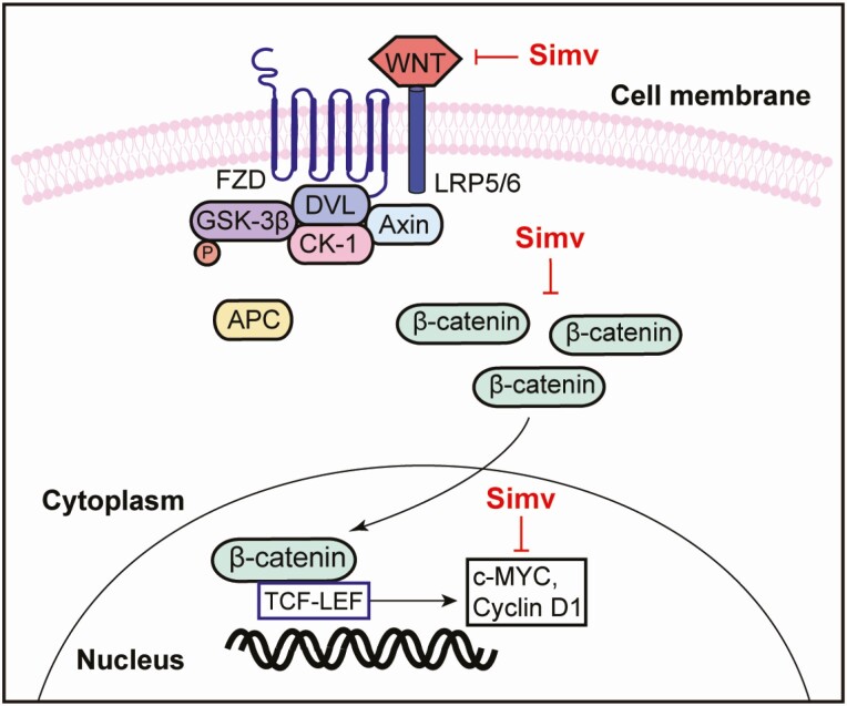 Figure 7.