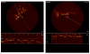 Fig. 3