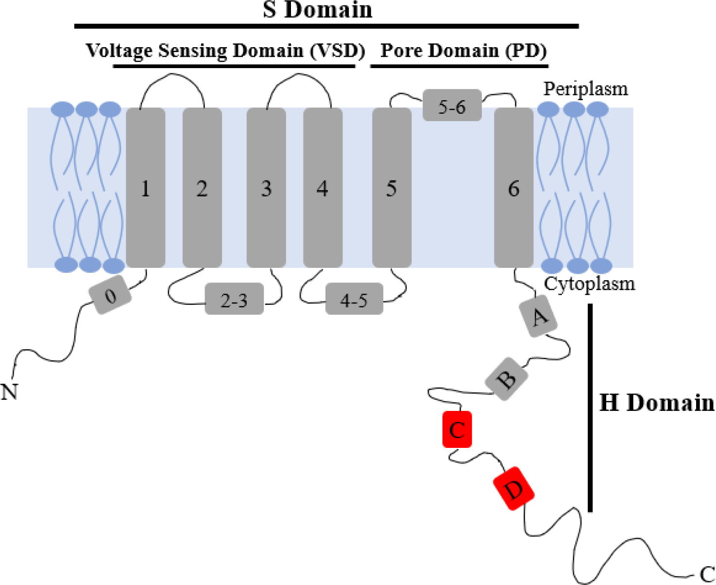 Figure 1: