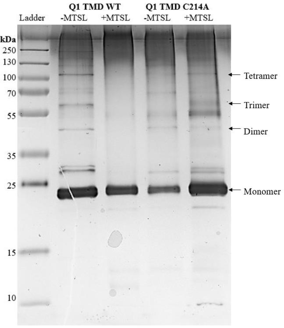 Figure 6: