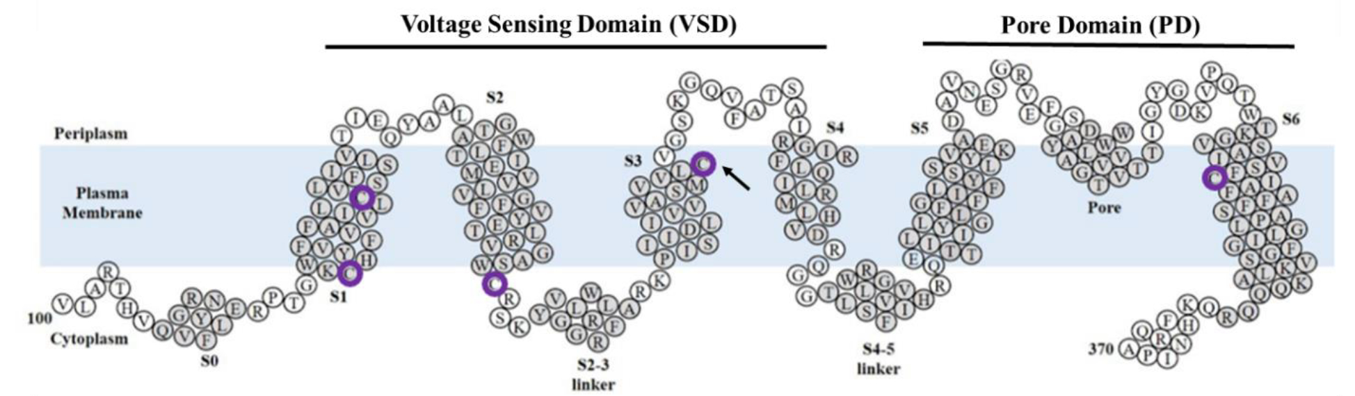 Figure 2: