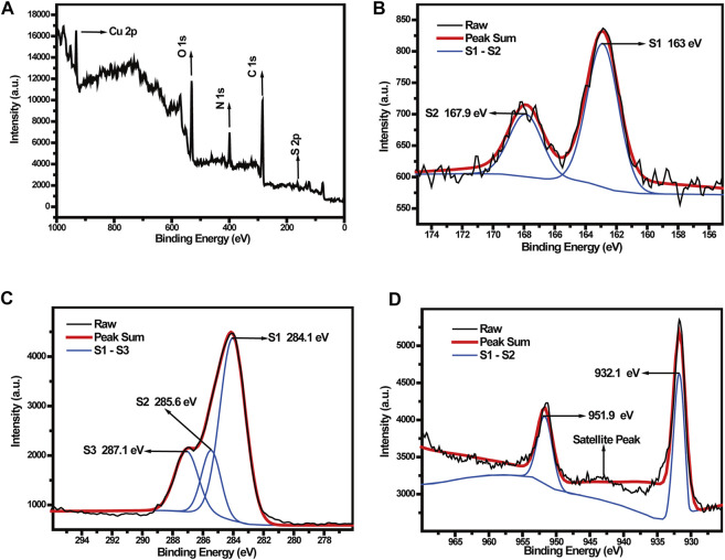 FIGURE 3