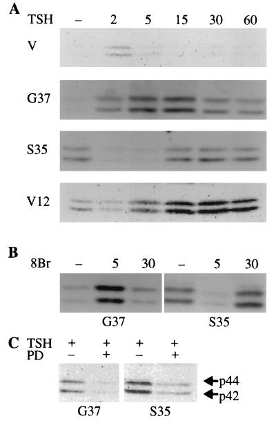 FIG. 6