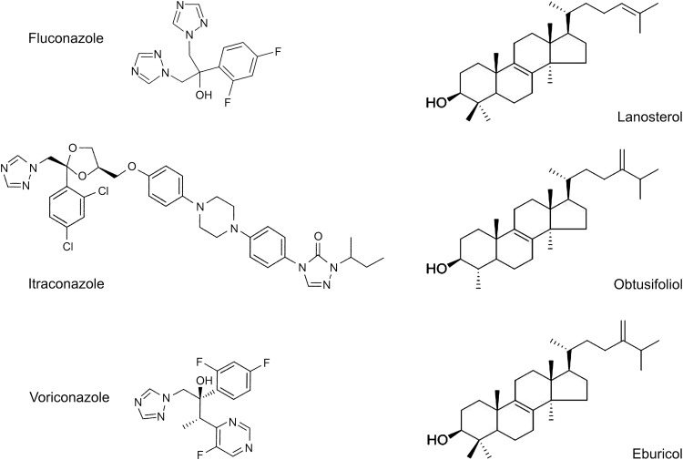 FIG 1