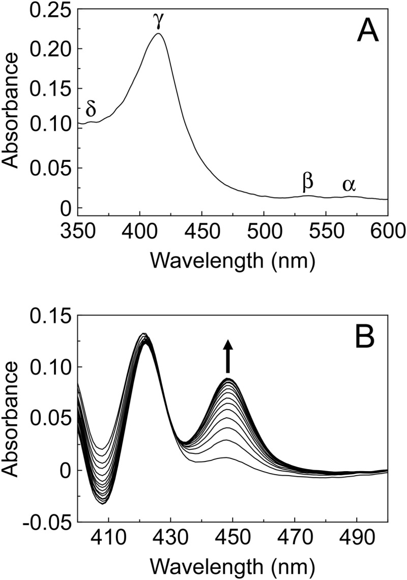 FIG 3