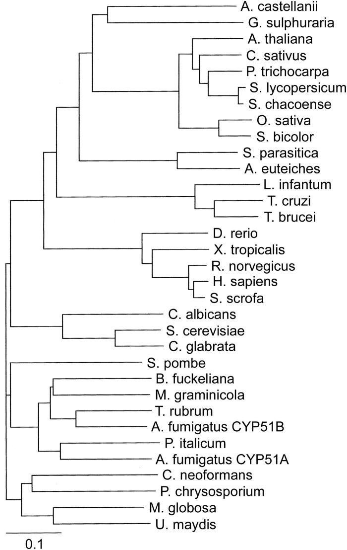 FIG 2