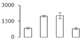 graphic file with name biomolecules-09-00523-i047.jpg