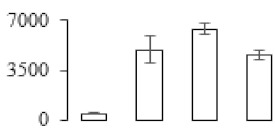 graphic file with name biomolecules-09-00523-i048.jpg