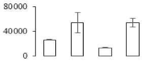 graphic file with name biomolecules-09-00523-i064.jpg