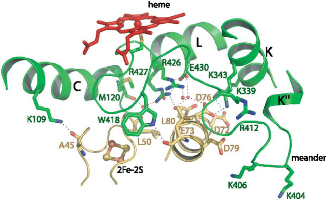 Fig. 1