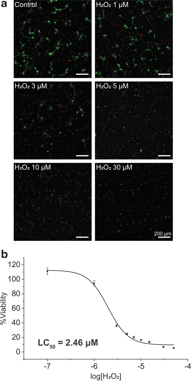 FIG. 3.