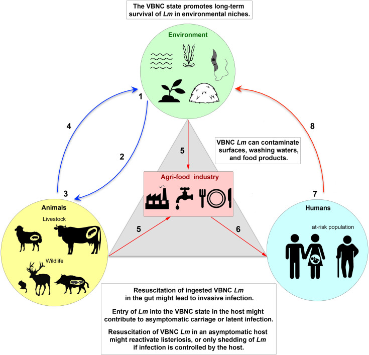 Figure 2