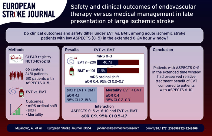 Graphical abstract