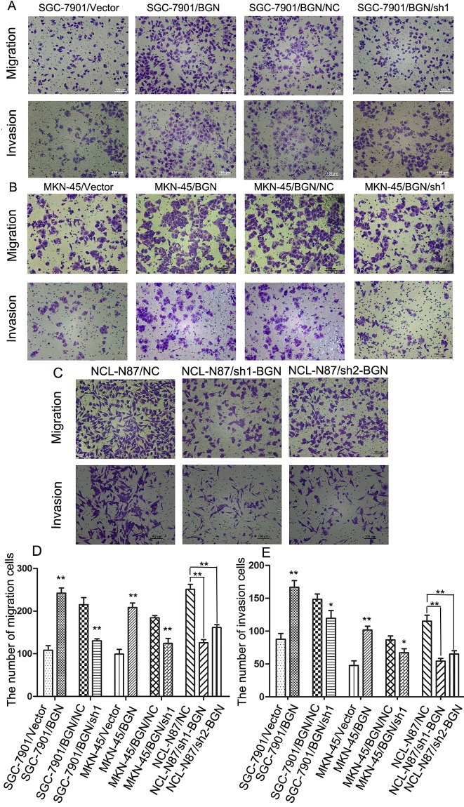 Fig.3