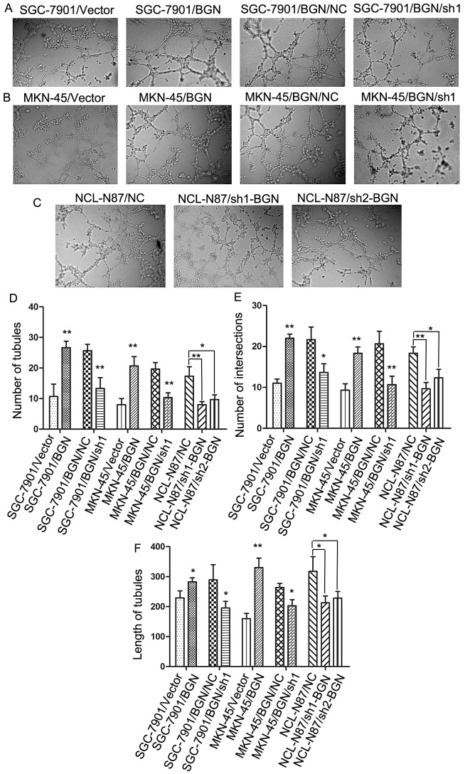 Fig.4