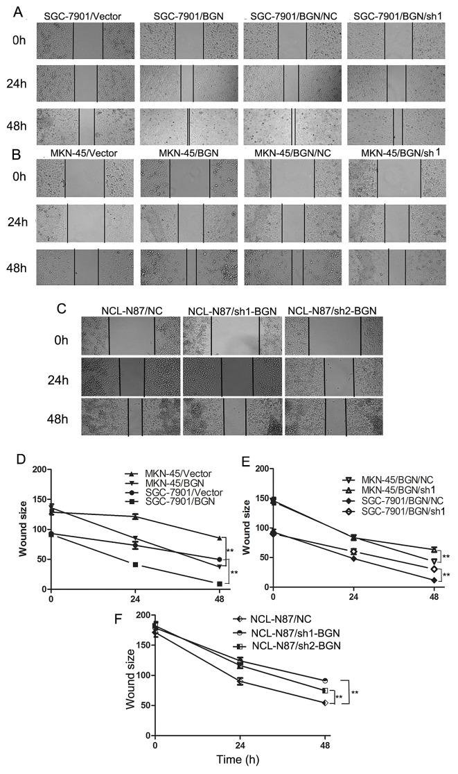 Fig.2