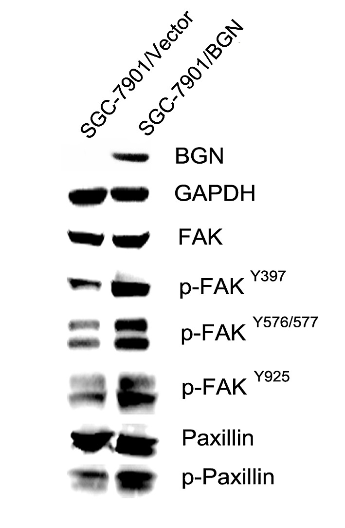 Fig.5