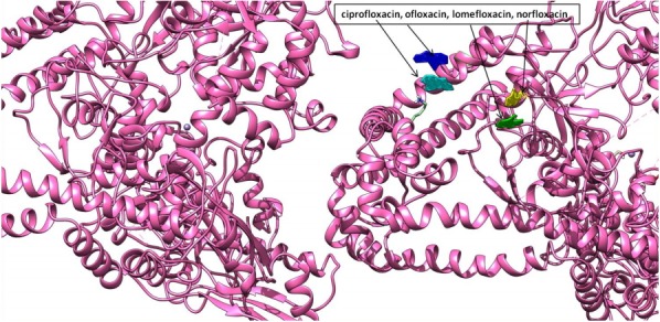 Fig. 3