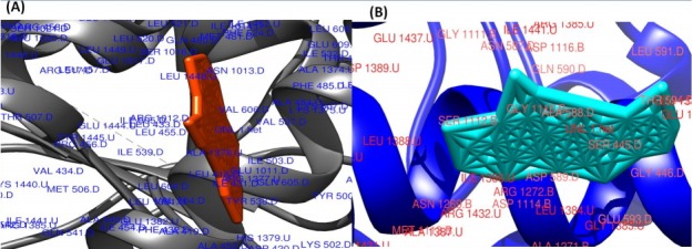 Fig. 5