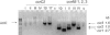 FIG. 5.