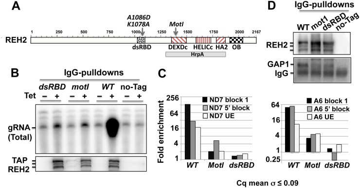 Fig 10