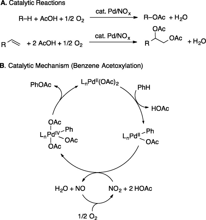 Scheme 6