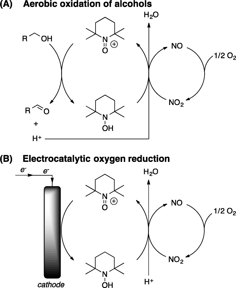 Scheme 2