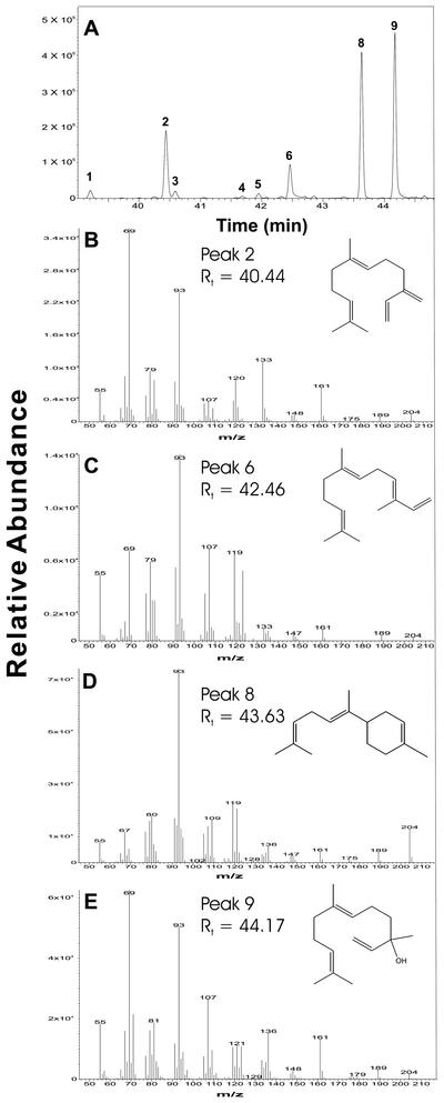 Figure 5.