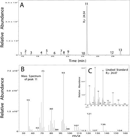 Figure 4.