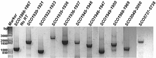 Figure 5.