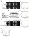 Figure 3—figure supplement 2.