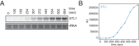 Appendix 1—figure 1.