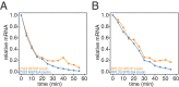 Appendix 1—figure 9.