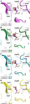 Figure 4: