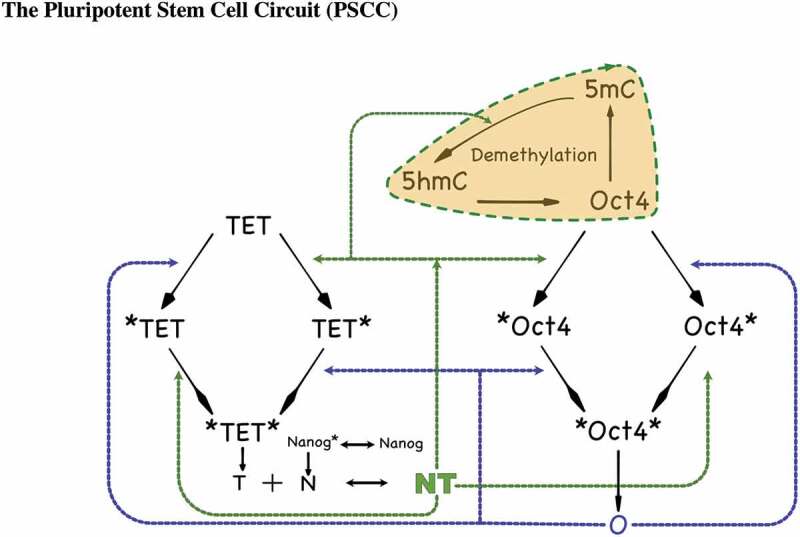 Figure 2.