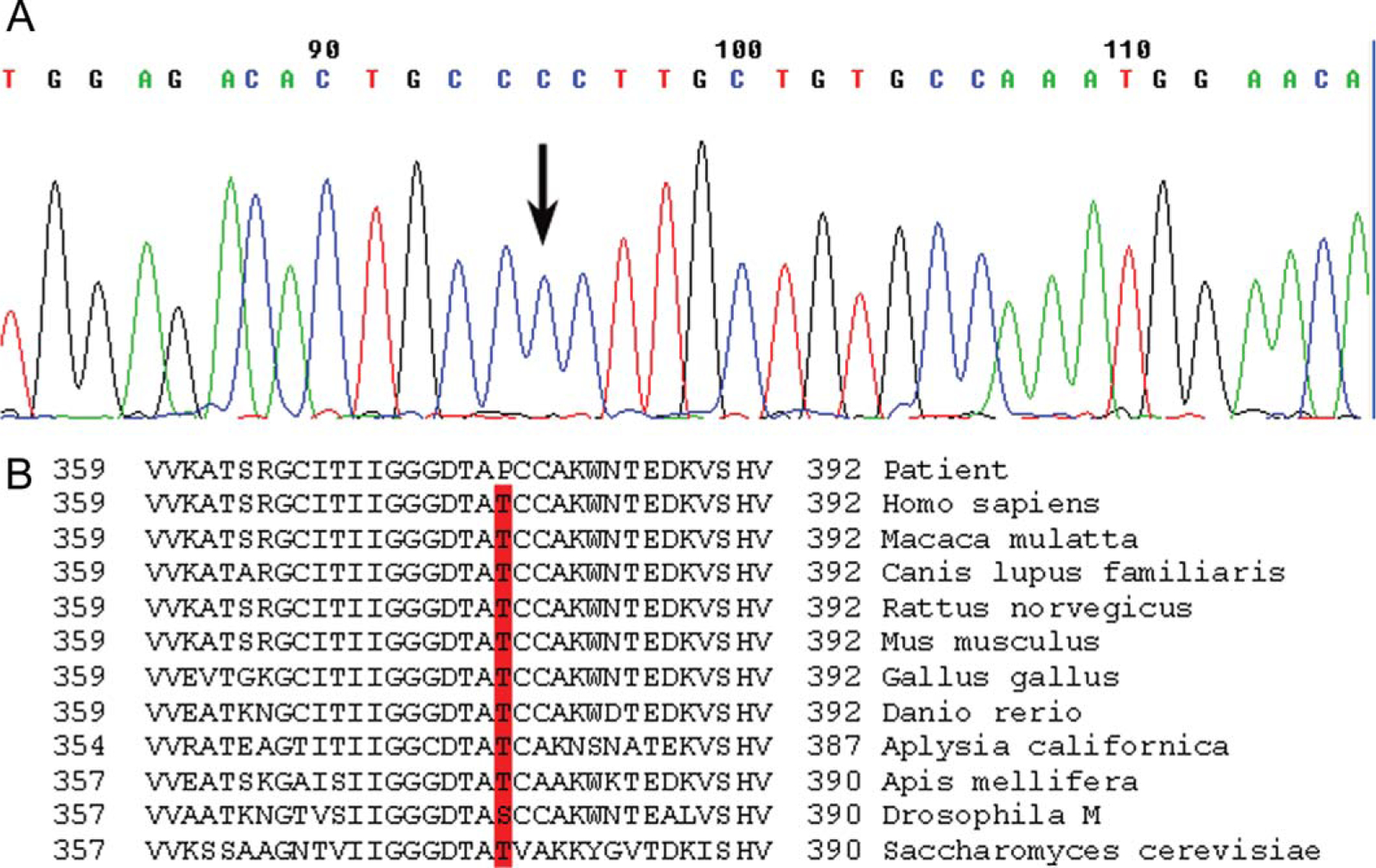 FIGURE 1.