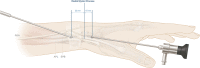 Fig. 7.