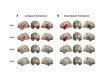 Figure 2—figure supplement 3.