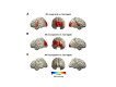 Figure 2—figure supplement 2.