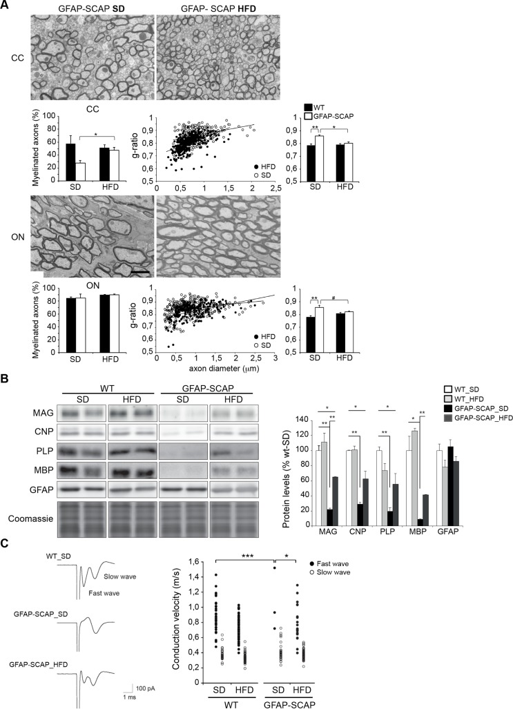 Fig 9