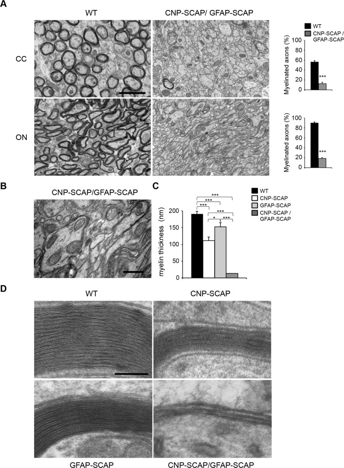 Fig 10