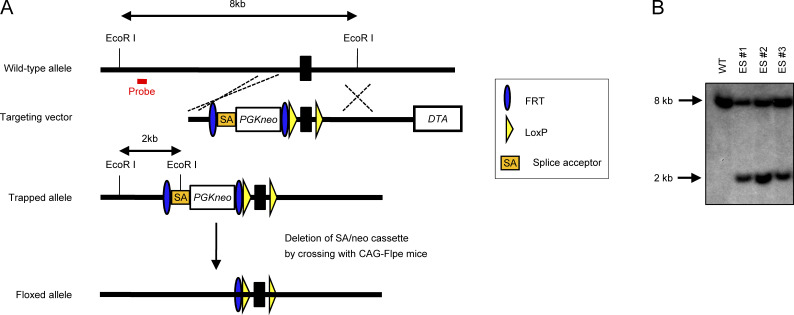 Figure S1.