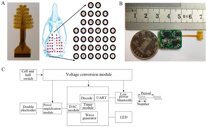 Figure 2.