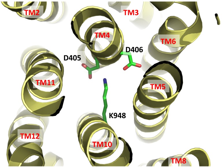 Figure 5