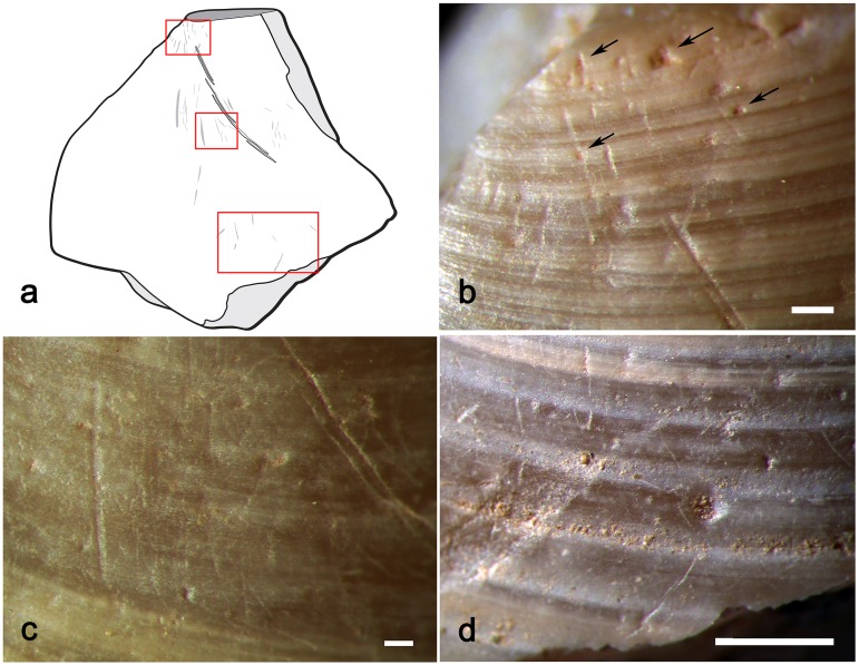 Fig 13