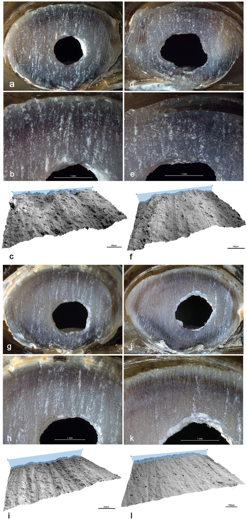 Fig 9