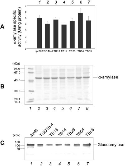 FIG. 4.