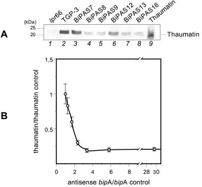 FIG. 8.